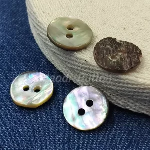 Abalone shell buttons